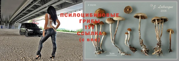 Альфа ПВП Армянск