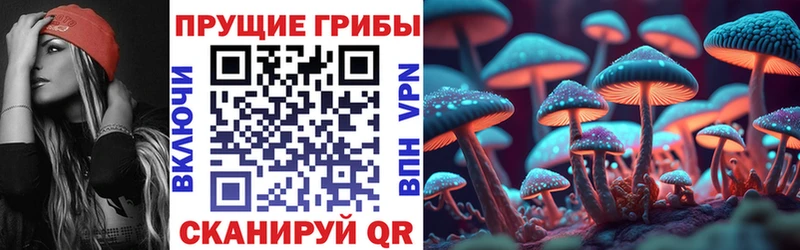как найти   kraken зеркало  Псилоцибиновые грибы ЛСД  Миньяр 